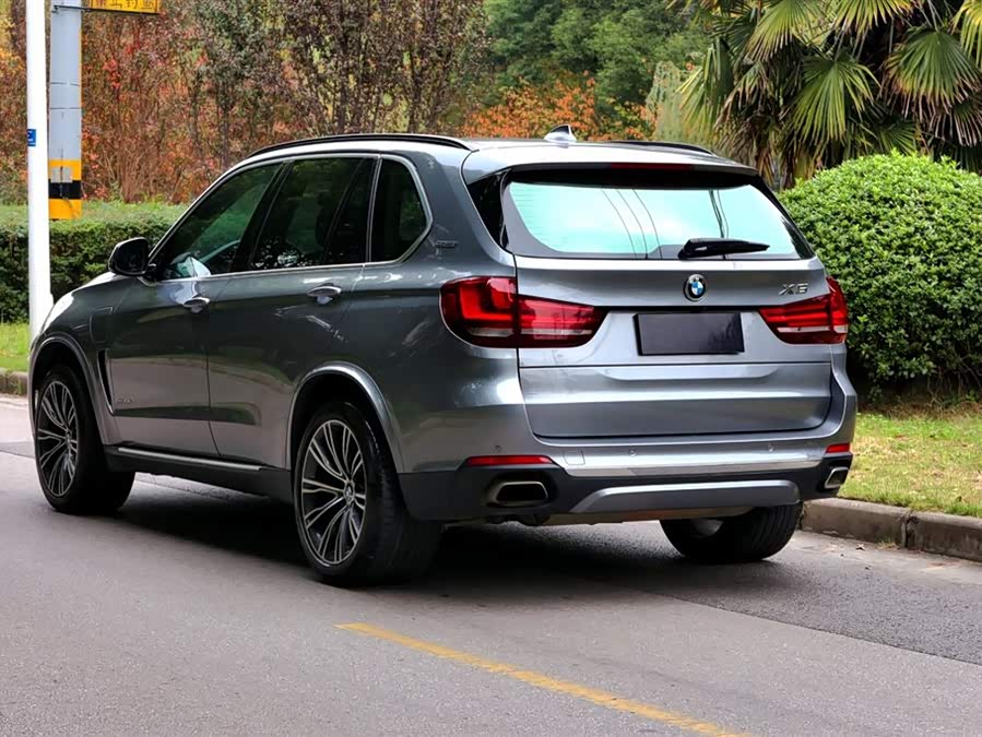 BMW X5 New Energy (Imported) 2018 car image #6