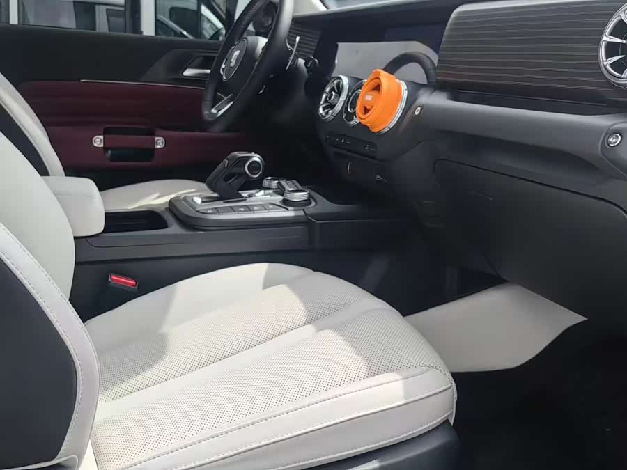 Tank 300 New Energy 2024 car image #6