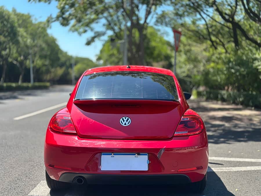 Volkswagen Beetle 2014 immagine di auto #6