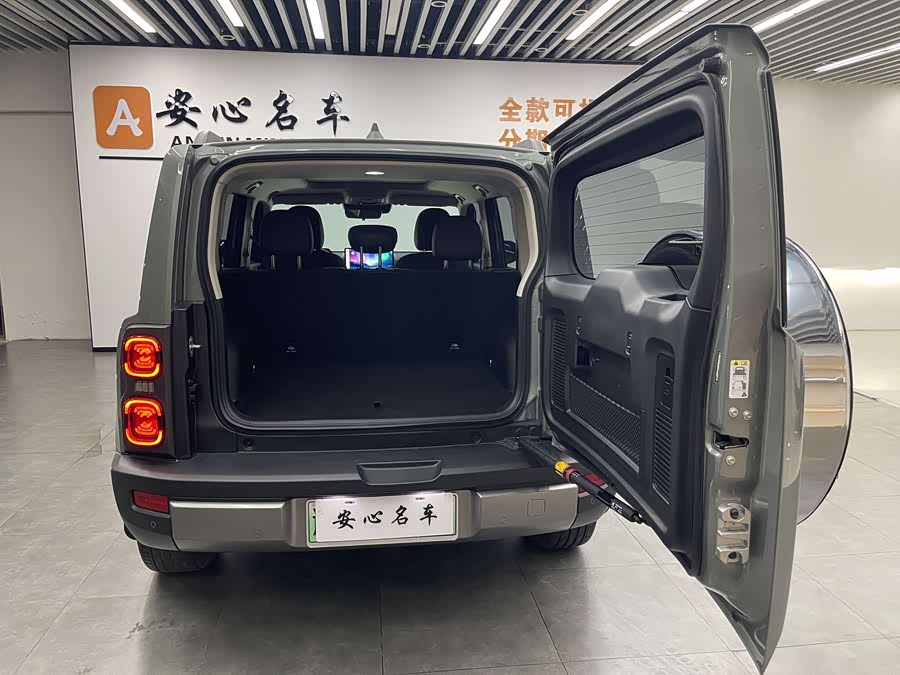 Haval Raptor New Energy 2023 car image #6