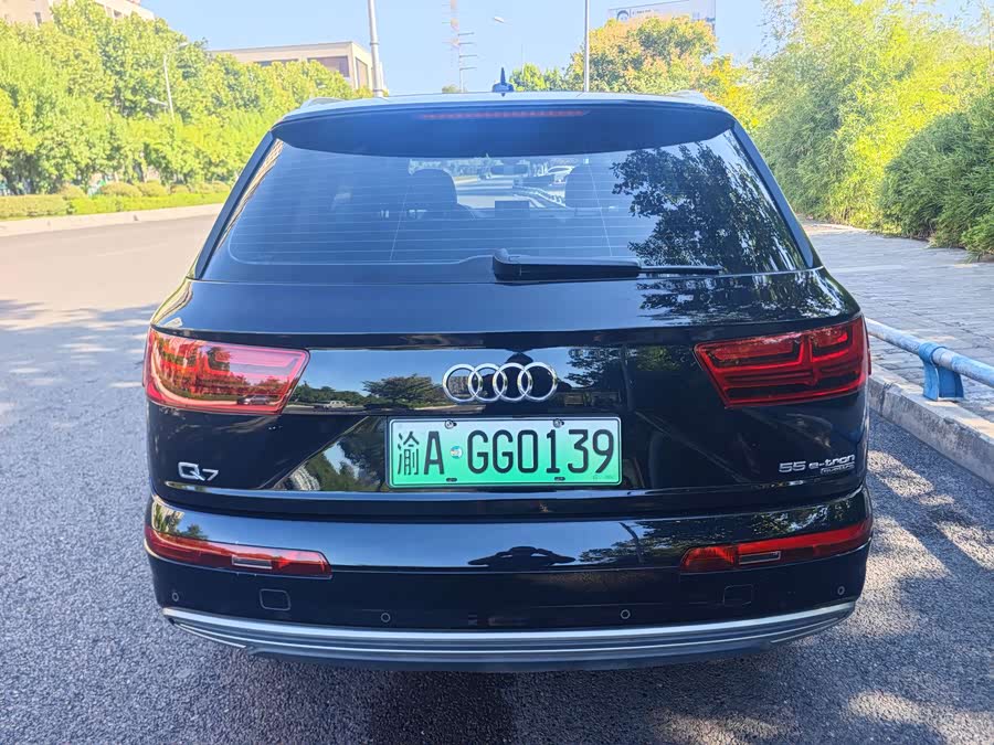 Audi Q7 New Energy 2019 car image #6