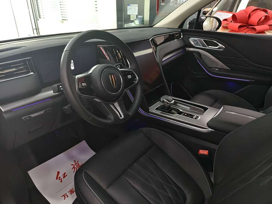 HongQi HS7 PHEV 2024 car image #6