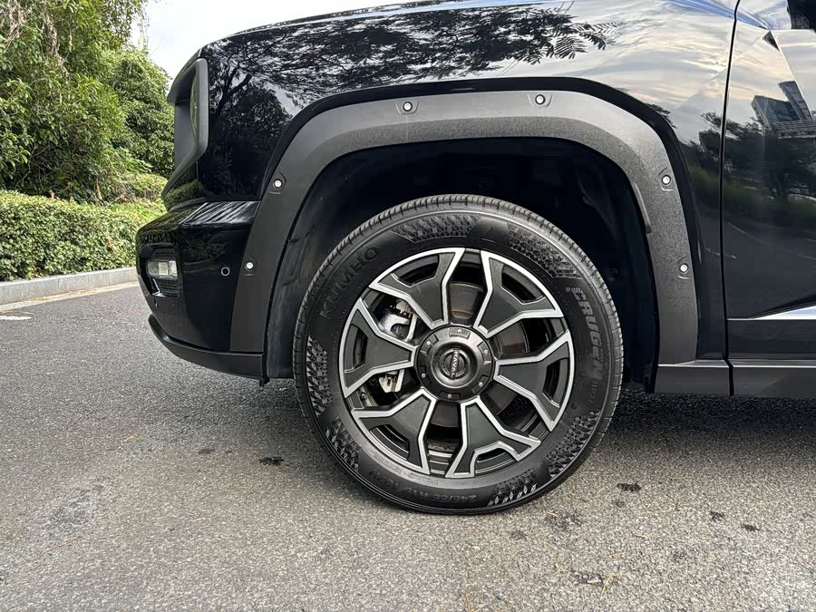 Haval X Dog 2 New Energy 2024 car image #6