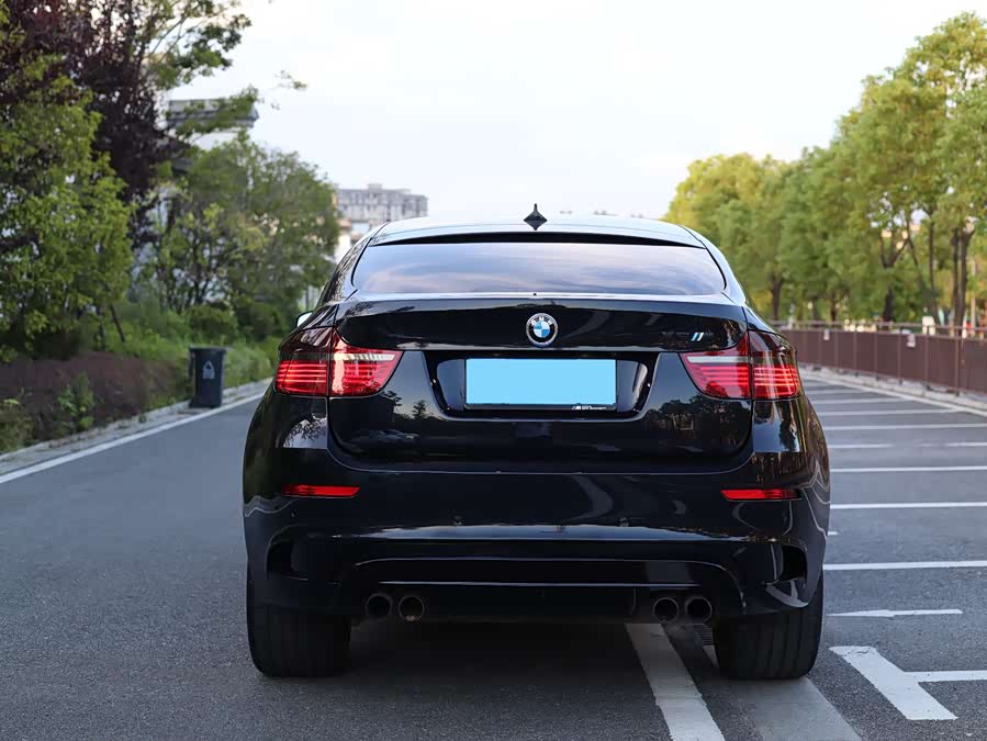BMW X6 M 2012 car image #6