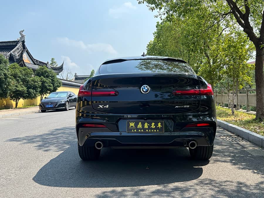 BMW X4 2020 car image #6