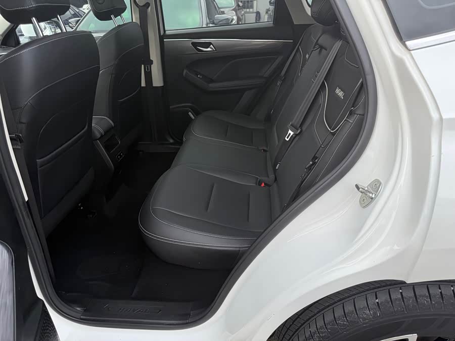 Haval Jolion 2020 car image #6