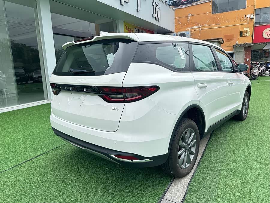 睿蓝汽车 枫叶80v 2023 汽车图片 #6