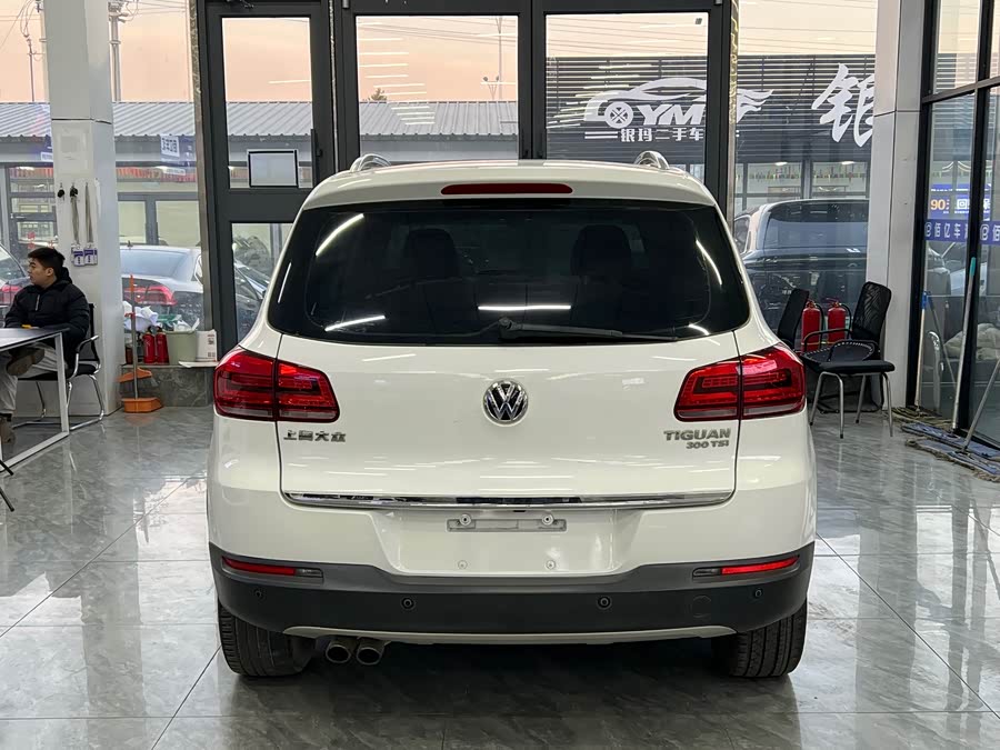 Volkswagen Tiguan 2016 #6 Volkswagen Tiguan 2016 car image #6