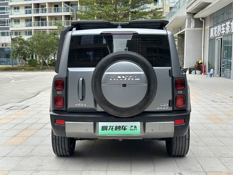 Haval Raptor New Energy 2025 immagine di auto #6