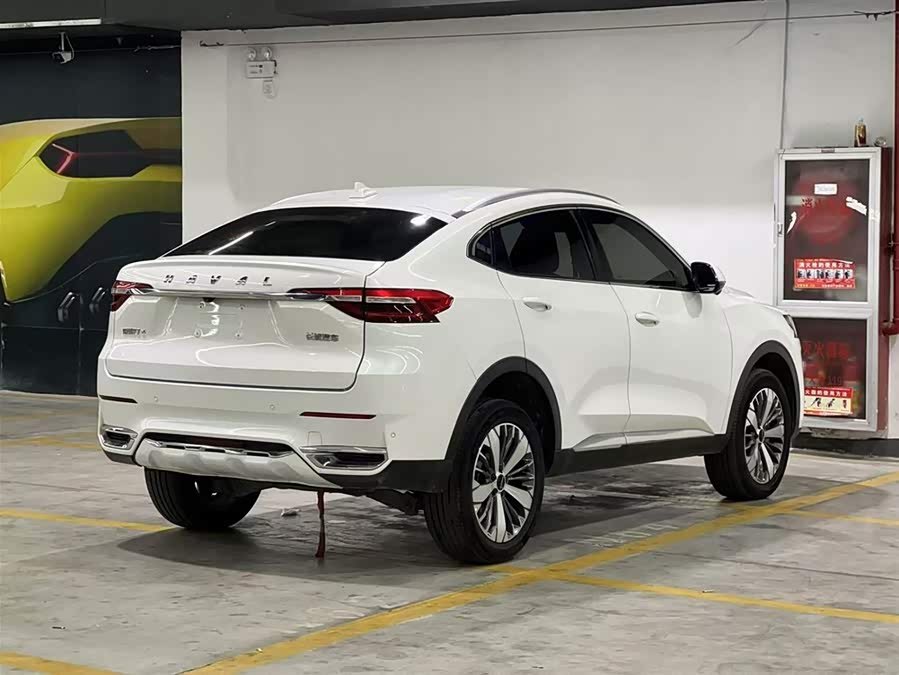 Haval F7x 2021 immagine di auto #6