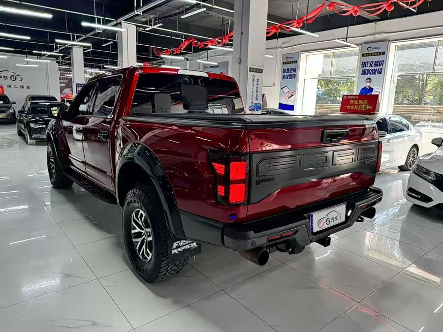Ford F-150 Raptor 2019 car image #6