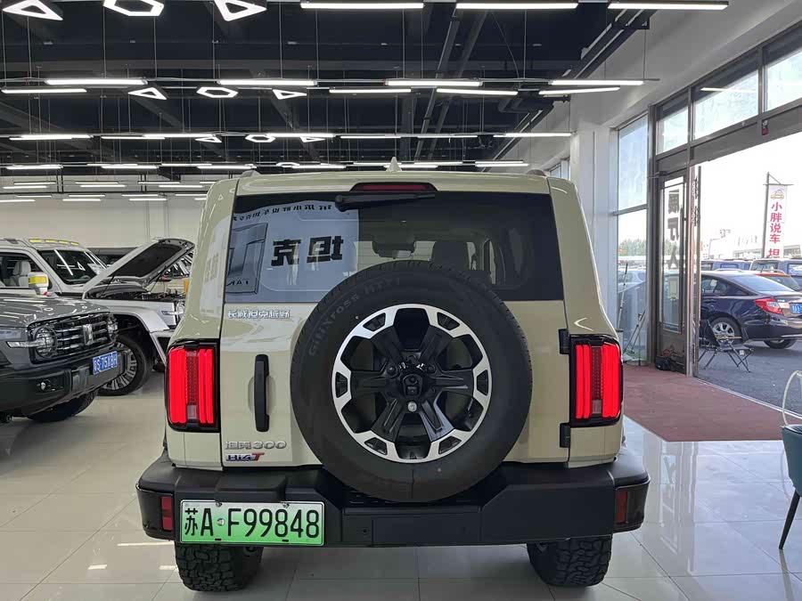 Tank 300 New Energy 2025 car image #6