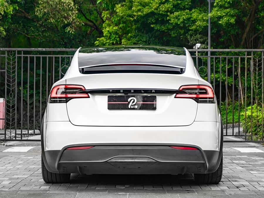 特斯拉 Model X 2023 汽车图片 #6