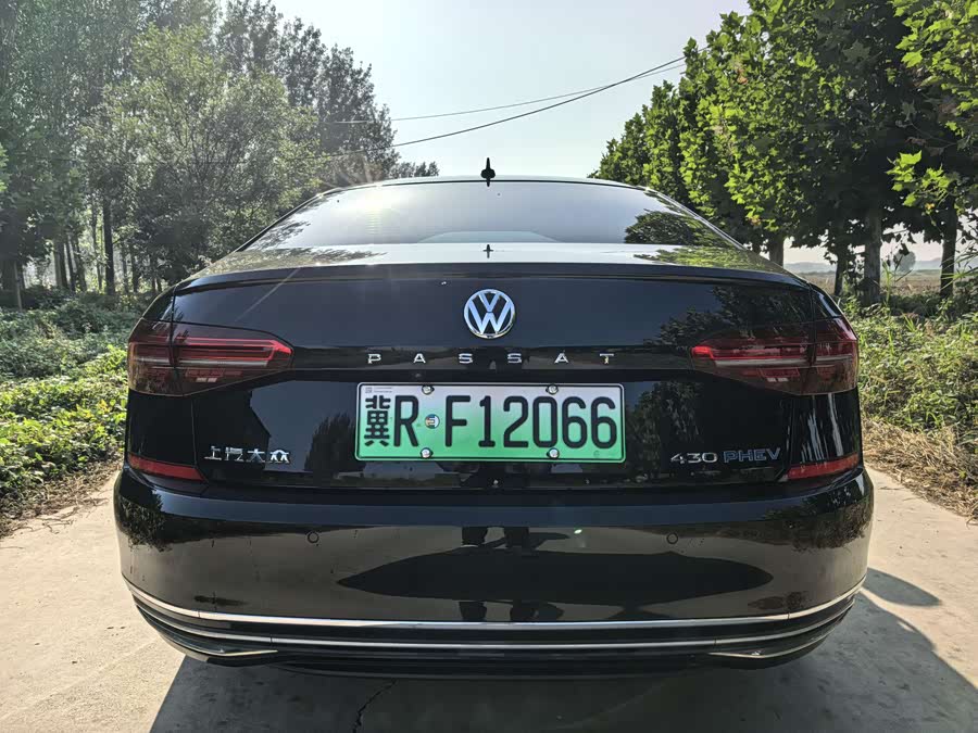 Volkswagen Passat New Energy 2019 immagine di auto #6