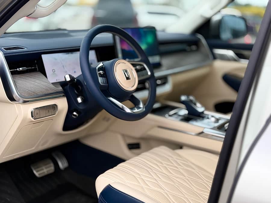 Tank 500 New Energy 2025 immagine di auto #6