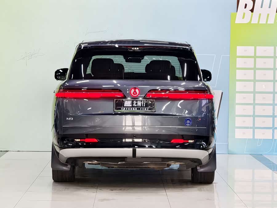 Denza N9 2025 car image #6