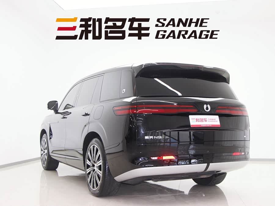 Denza N9 2025 car image #6