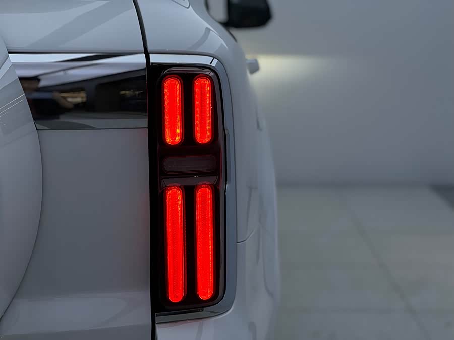 Tank 500 New Energy 2023 immagine di auto #6