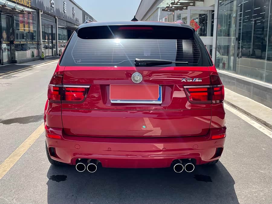 BMW X5 M 2010 #6 BMW X5 M 2010 car image #6