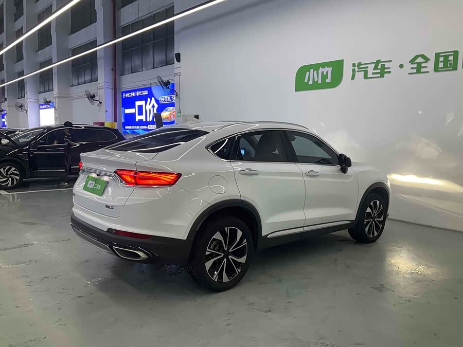 GEELY Tugella S 2022 car image #6