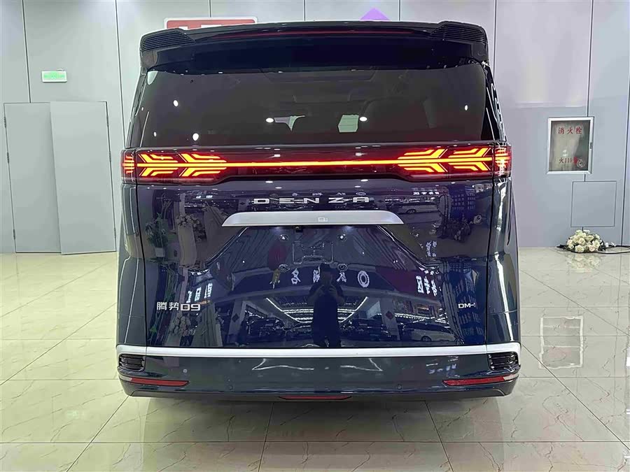 Denza D9 2023 imagem de carro #6