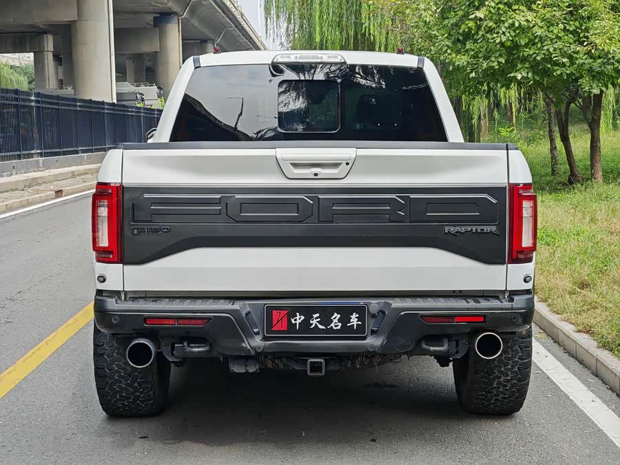 Ford F-150 Raptor 2018 car image #6