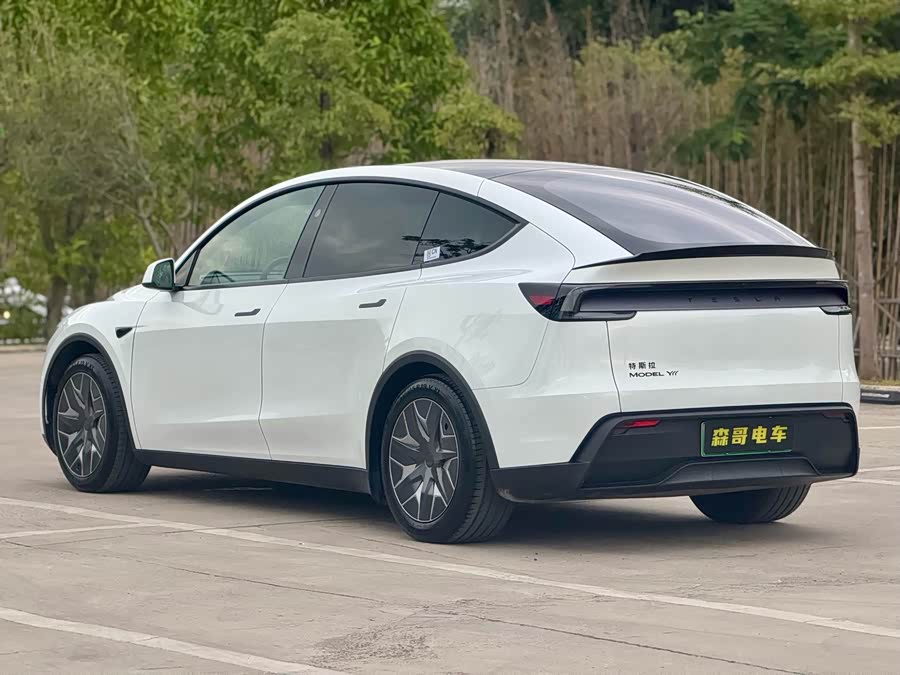 特斯拉 Model Y L 2025 汽车图片 #6