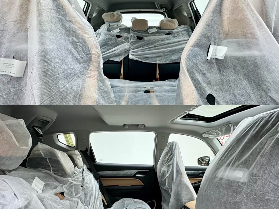 GEELY OkavangoPRO 2025 car image #6