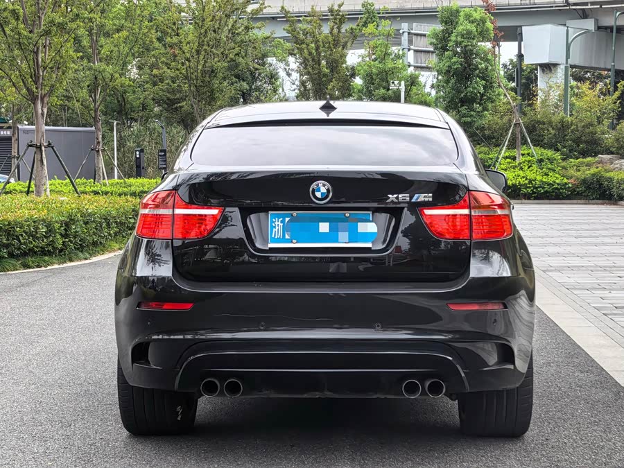 BMW X6 M 2011 car image #6