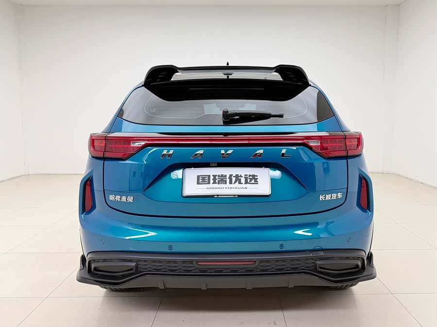 Haval Rabbit 2021 car image #6