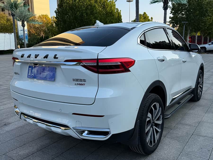 哈弗 哈弗F7x 2021 汽车图片 #6
