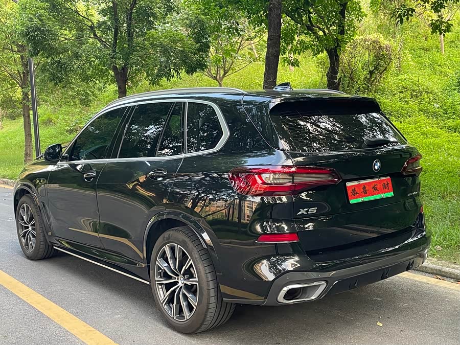 BMW X5 New Energy (Imported) 2021 car image #6