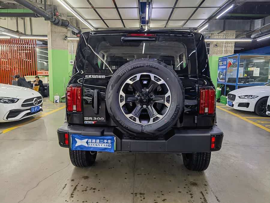 Tank 300 New Energy 2025 car image #6