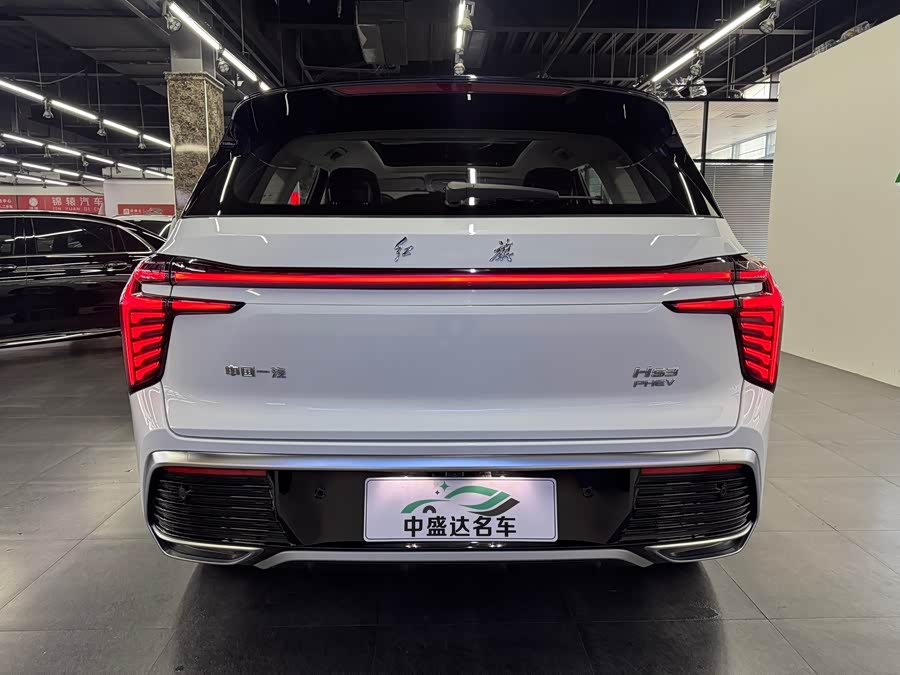 HongQi HS3 PHEV 2024 car image #6