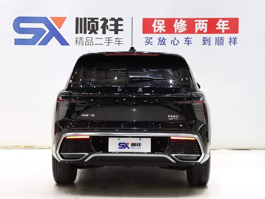 HongQi HS3 2024 immagine di auto #6
