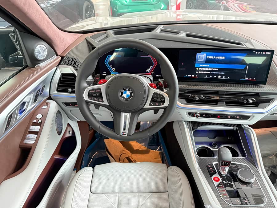 BMW XM صورة سيارة #6