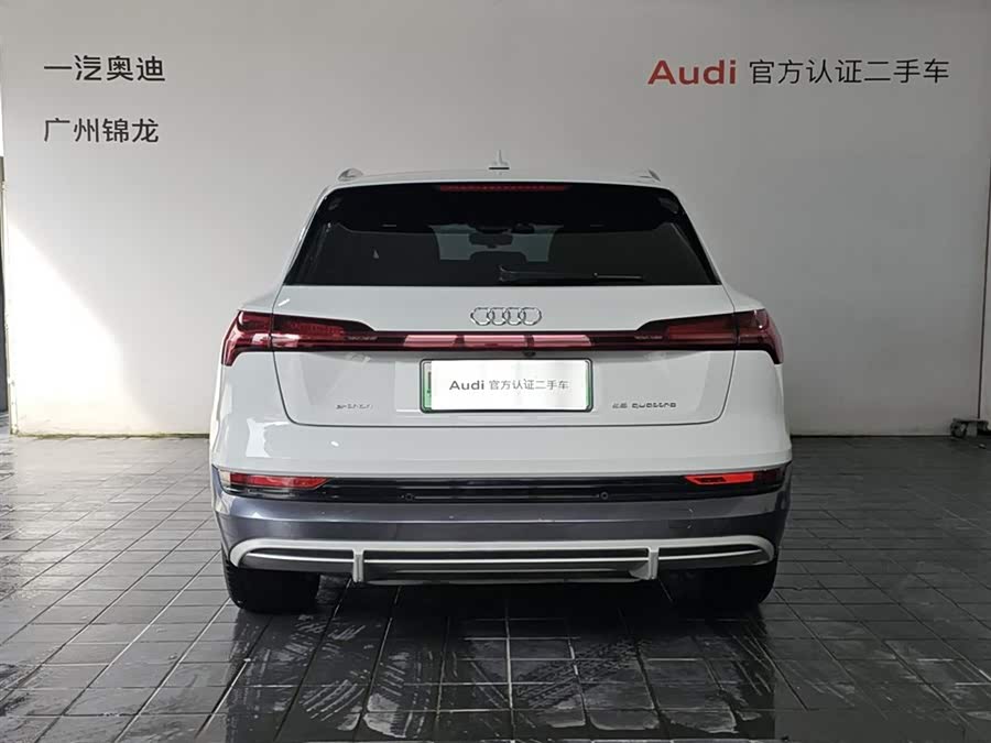 Audi e-tron (Imported) 2020 car image #6