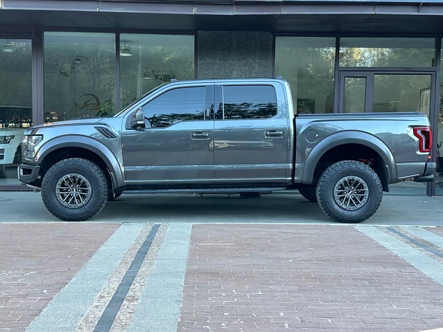 Ford F-150 Raptor 2019 car image #6