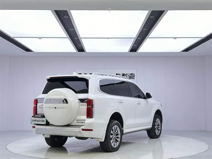 Tank 500 New Energy 2023 immagine di auto #6