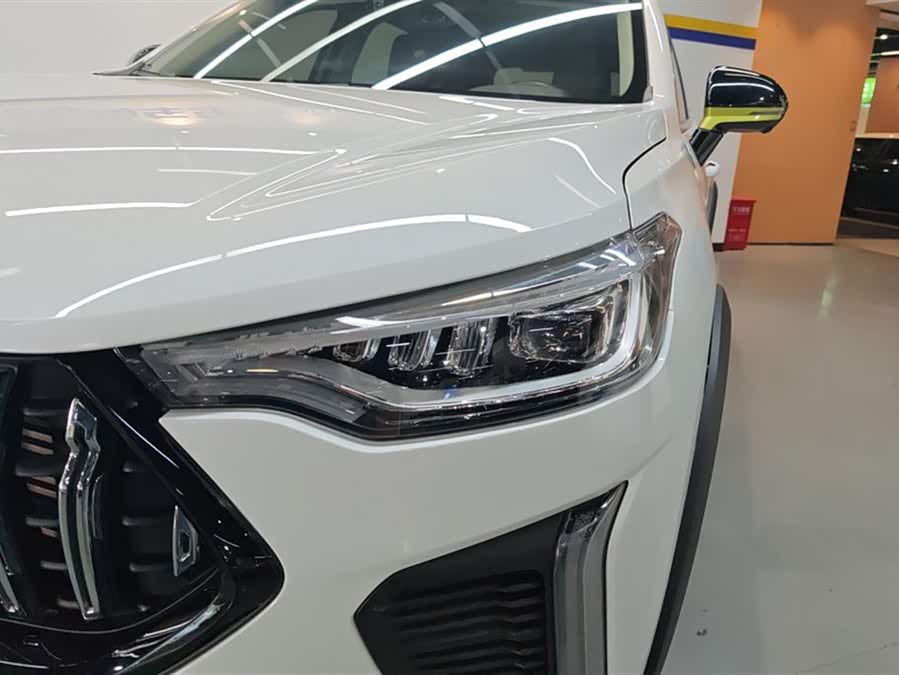 Haval Rabbit 2022 car image #6