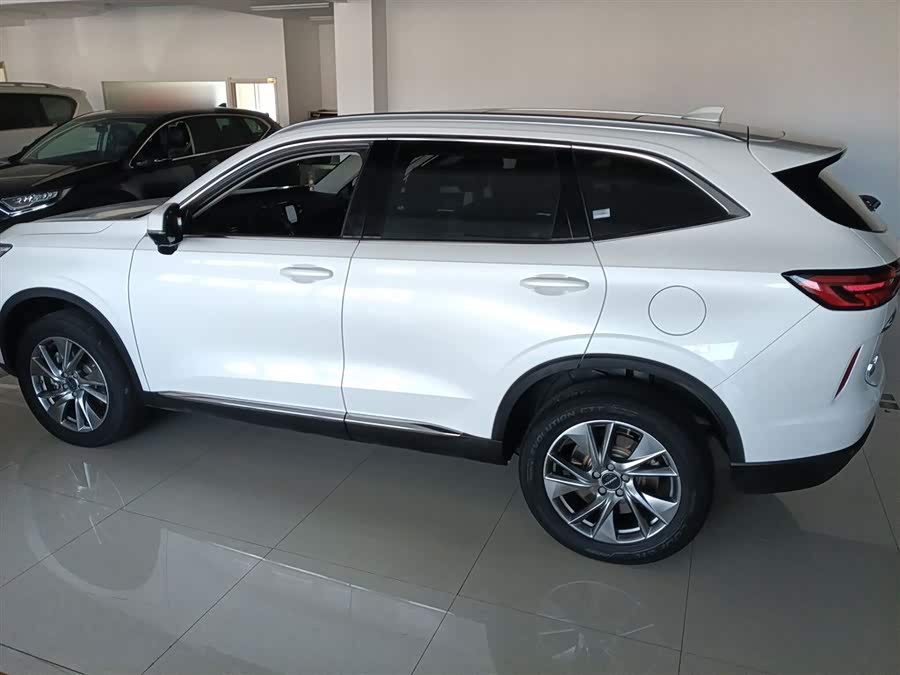 Haval H6 2022 #6 Haval H6 2022 изображение автомобиля #6