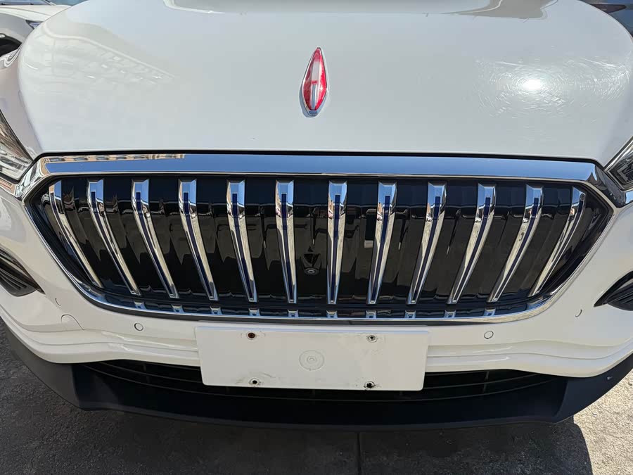 HongQi E-HS3 2019 car image #6