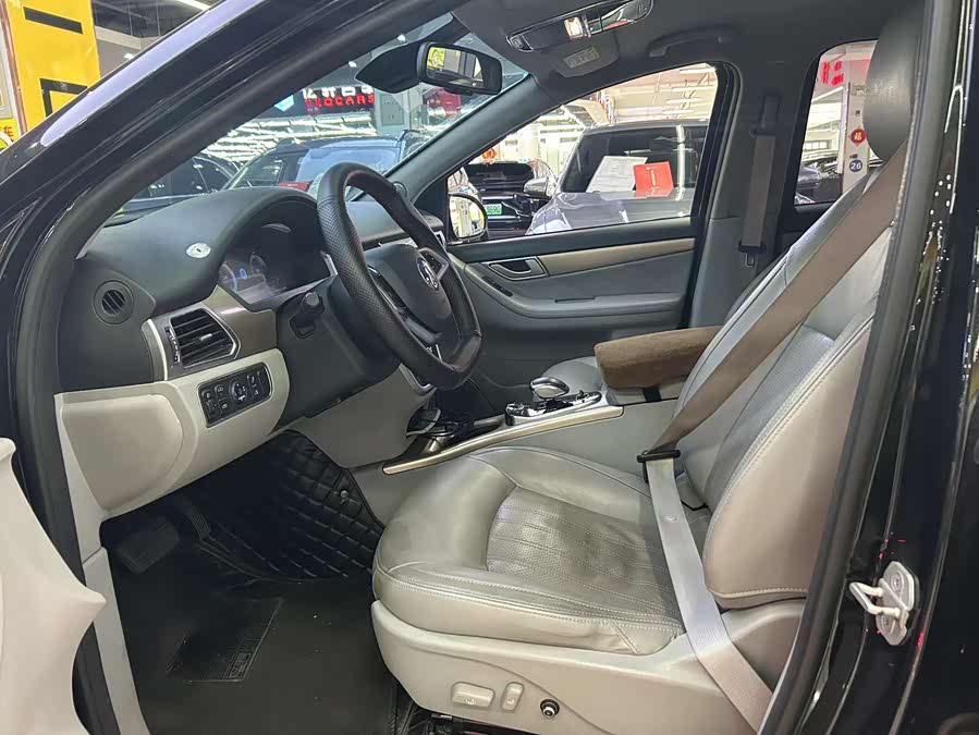 Denza DENZA 2018 imagem de carro #6