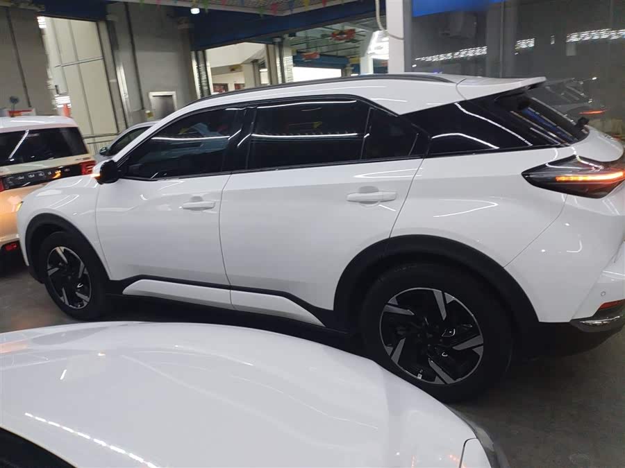 Neta X 2024 imagem de carro #6