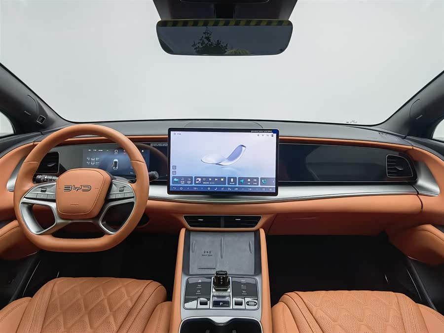 BYD Sea Lion 07 EV 2025 car image #6