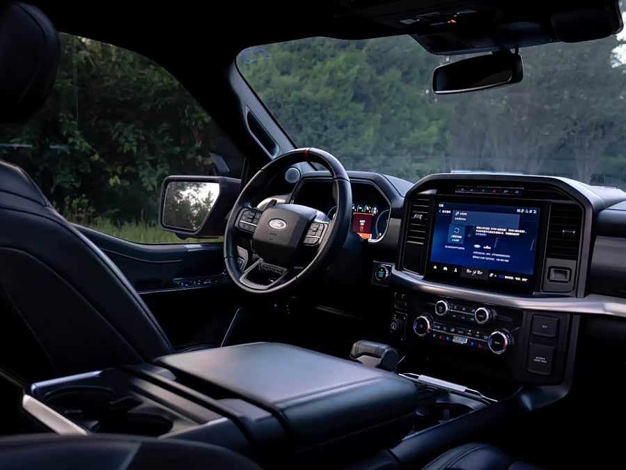 Ford F-150 Raptor 2023 car image #6