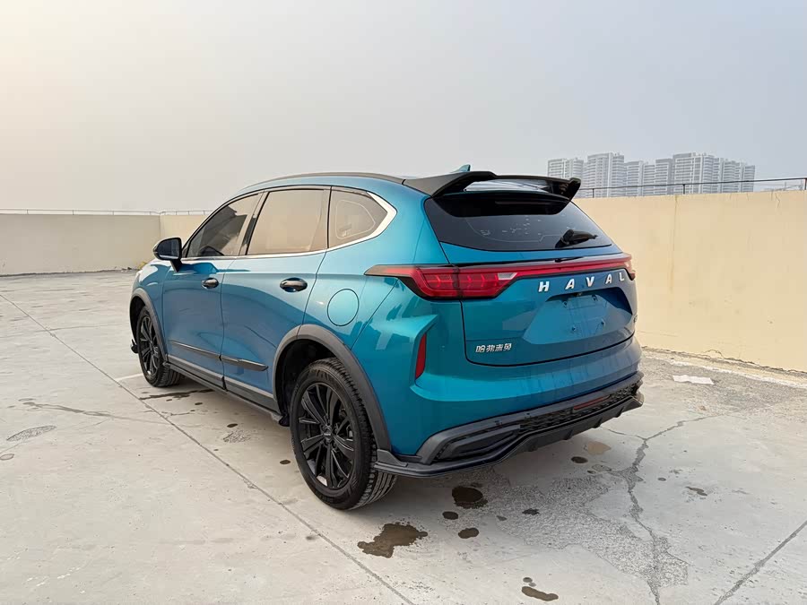 Haval Rabbit 2021 imagen de coche #6