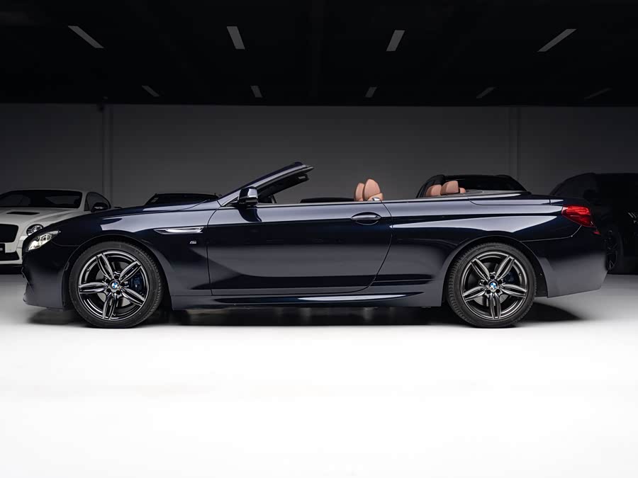 BMW 6 Series 2019 #6 BMW 6 Series 2019 car image #6