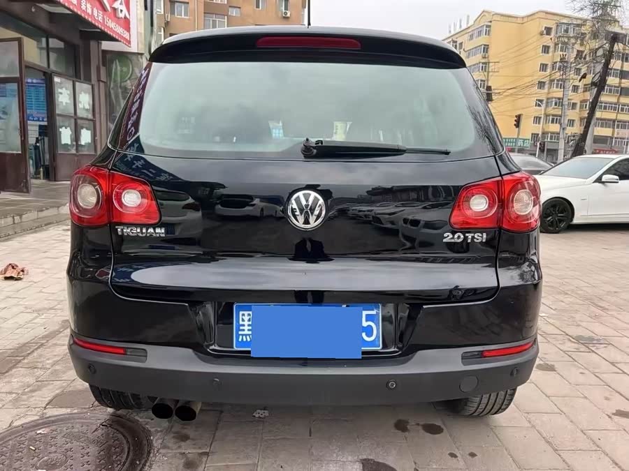 大众 Tiguan 2010 汽车图片 #6