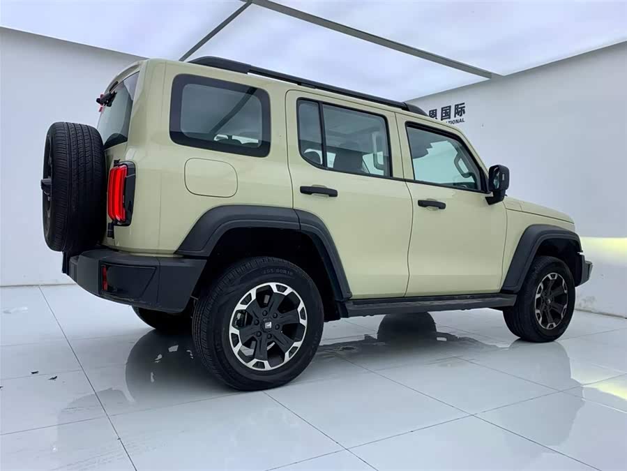 Tank 300 New Energy 2025 car image #6